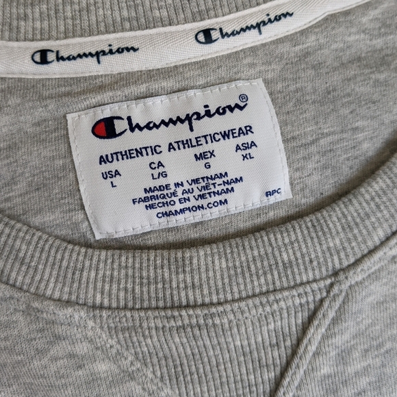 Champion Sweatshirt Rainbow Logo French Terry Crew Raglan Sleeves Grey L NWT - Picture 14 of 15